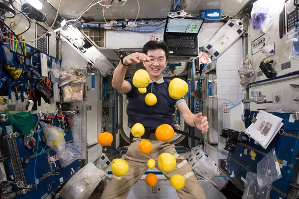 Japānas astronauts Kimija Juji ar lidojošiem augļiem Japānas astronauts Kimija Juji ar lidojošiem augļiem - Sputnik Latvija