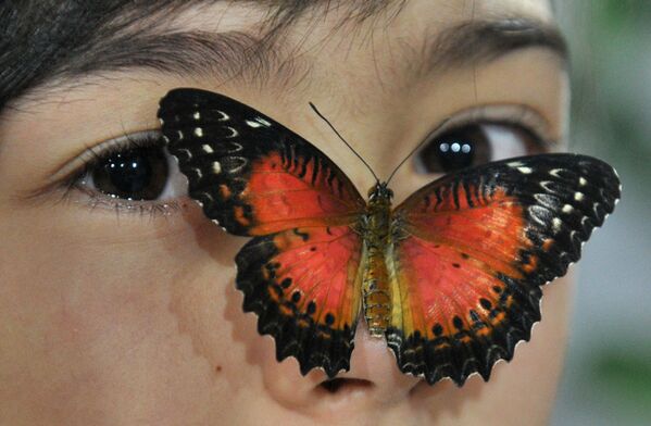 Бабочка на лице девушки, Бишкек. - Sputnik Латвия