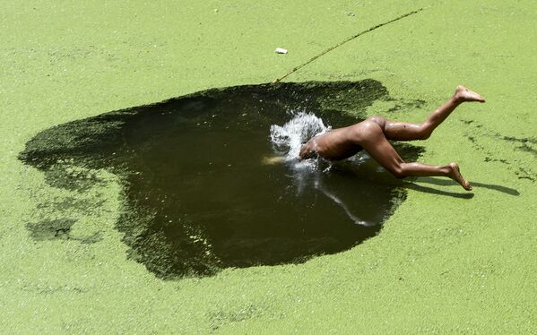 Мальчик прыгает в пруд, покрытый водорослями, в Киртипуре. - Sputnik Латвия