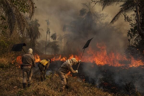 Fotogrāfa Lalo de Almedia (Brazīlija) darbu sērija Pantanala liesmās ieņēma pirmo vietu kategorijā Apkārtējā vide - Sputnik Latvija