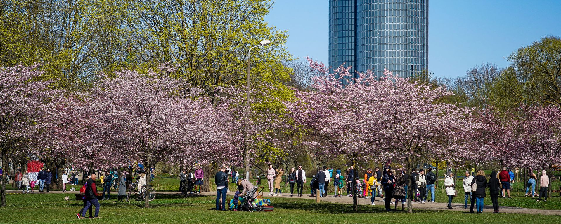 Парк Победы в Риге - Sputnik Латвия, 1920, 08.06.2026