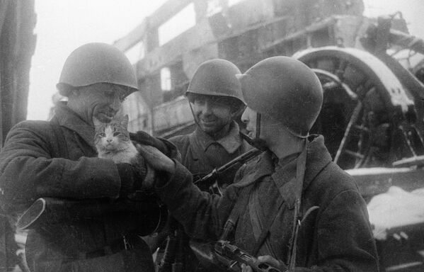 Мирные воспоминания. Сталинград, 1943 год - Sputnik Латвия