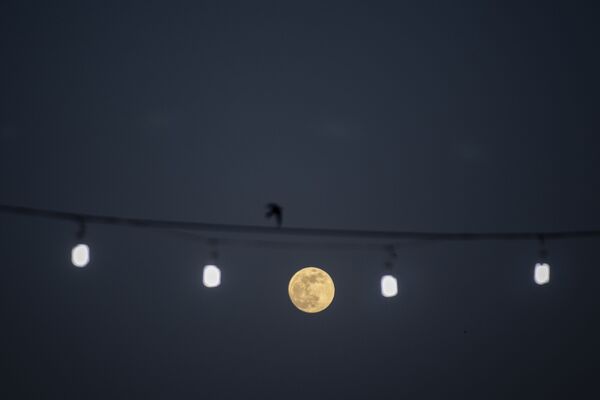 Полная луна восходит над сирийской столицей Дамаском - Sputnik Латвия