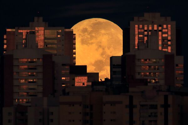 Pilnmēness pirms aptumsuma starp Brazilia kvartāliem - Sputnik Latvija