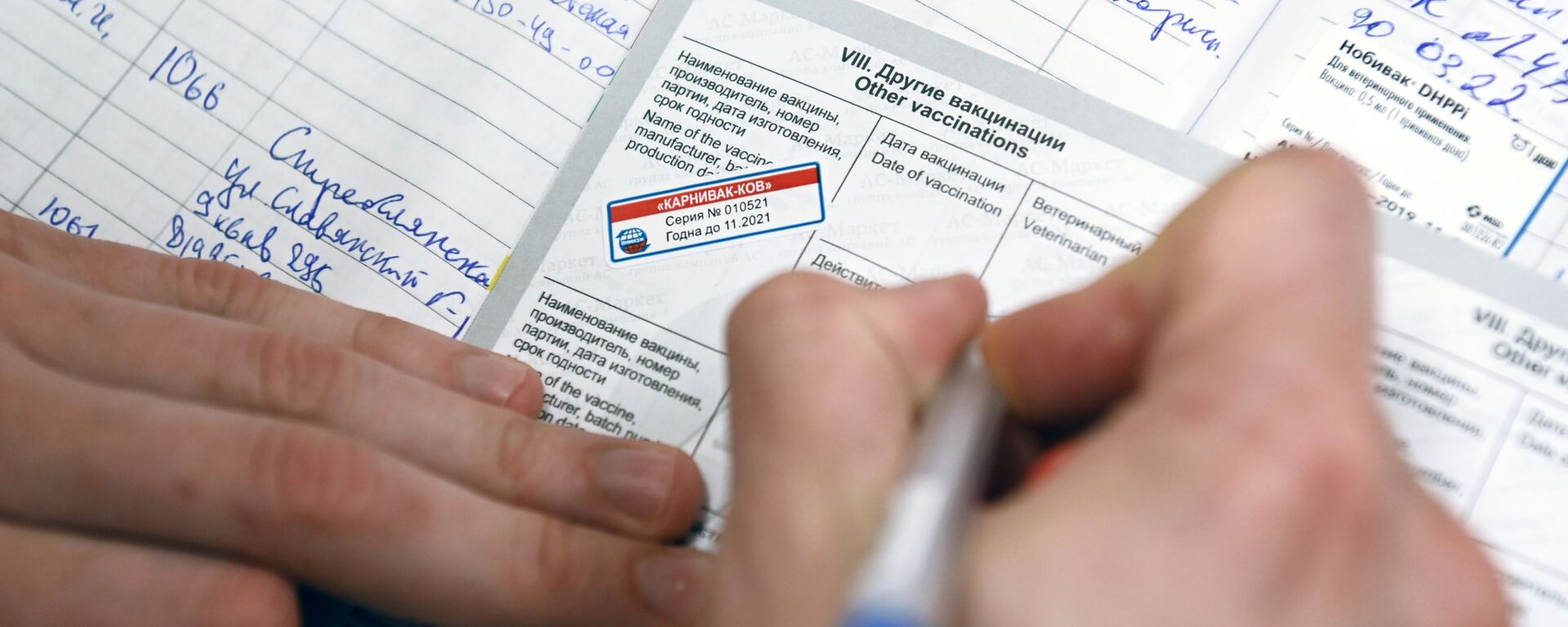 Ветеринарный врач делает отметку в паспорте животного после вакцинации от COVID-19 в ветеринарной клинике в Москве - Sputnik Латвия, 1920, 14.06.2021
