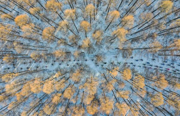 Работа китайского фотографа Chang XU &quot;На лыжах в весну&quot;, вошедшая в шорт-лист конкурса имени Андрея Стенина в категории &quot;Моя Планета, одиночные фотографии&quot;. - Sputnik Латвия