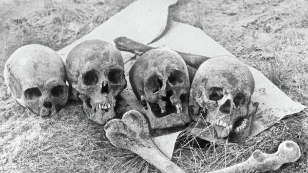 Черепа и кости жертв нацистов и их эстонских пособников - Sputnik Latvija