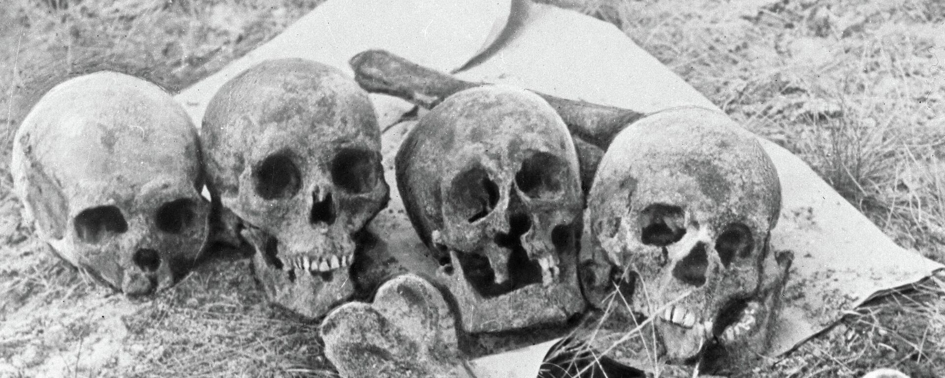 Черепа и кости жертв нацистов и их эстонских пособников - Sputnik Латвия, 1920, 22.06.2021