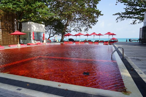 Samui salā viesnīcas The Library viesiem pieejams sarkans baseins. No tālienes tas pat izskatās mazliet biedējoši - Sputnik Latvija