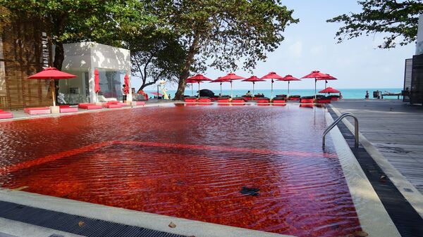 Самый красный бассейн в отеле The Library Resort, Таиланд - Sputnik Latvija