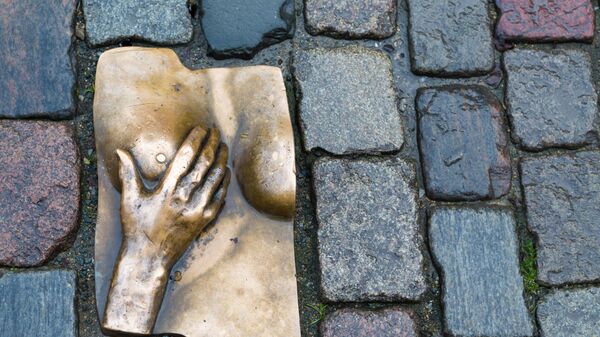 Памятник женской груди на булыжнике в районе красных фонарей в Амстердаме - Sputnik Latvija