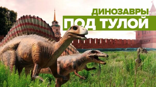 Динозавры притулились: недостроенный парк аттракционов под Тулой стал популярен в интернете  - Sputnik Latvija