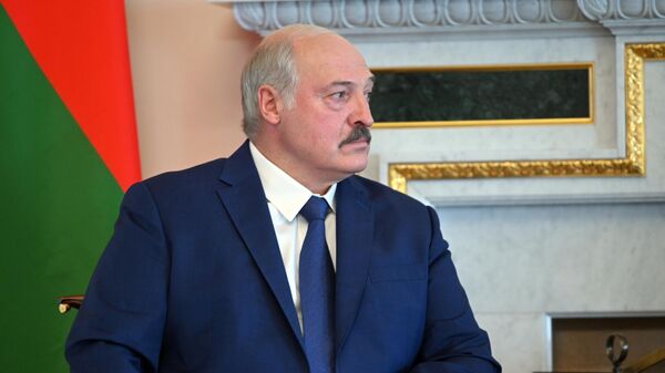 Закрыть каждый метр: Лукашенко жестко отреагировал на ЧП на границе с Литвой - Sputnik Латвия