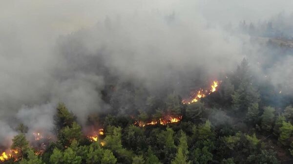 Greece: Drone captures devastating scenes as wildfires continue sweeping through Evia
 - Sputnik Latvija