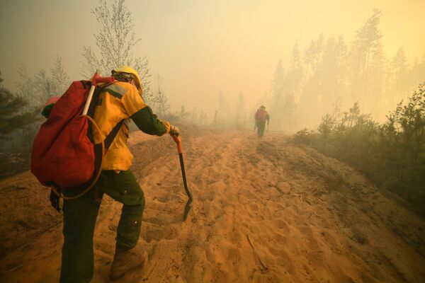 Cīņa ar meža ugunsgrēku Marij El Republikā - Sputnik Latvija