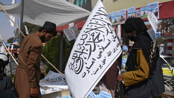 Идеи халифата начинают победное шествие: будет ли в Афганистане гражданская война? - Sputnik Латвия