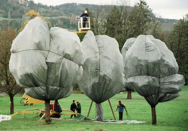 Bulgāru izcelsmes amerikāņu mākslinieka Kristo un viņa dzīvesbiedres Žannas Klodas instalācija &quot;Wrapped Trees&quot; (Ietīti koki). Šveice, 1998. gads - Sputnik Latvija