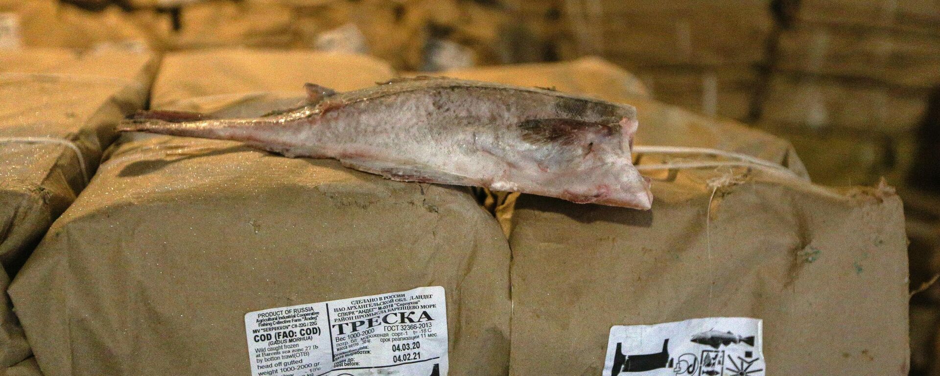 Выгрузка рыбы в Мурманском морском торговом порту - Sputnik Латвия, 1920, 26.12.2025