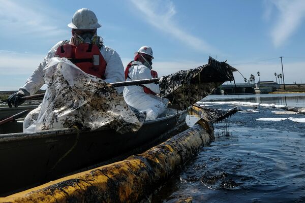 Attīrīšanas komandas izmantoja naftas savācējus un peldošos norobežojumus, lai apturētu tālāku jēlnaftas ieplūdumu Talbertmarša rezervāta purvainajā apvidū, kur mīt liels skaits putnu - Sputnik Latvija