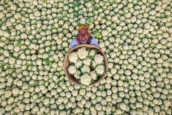 Rafids Jasars ir no Bangladešas. Šīs viņa fotogrāfijas varonis ir laimīgs zemnieks, kurš priecājas par bagāto ražu - Sputnik Latvija