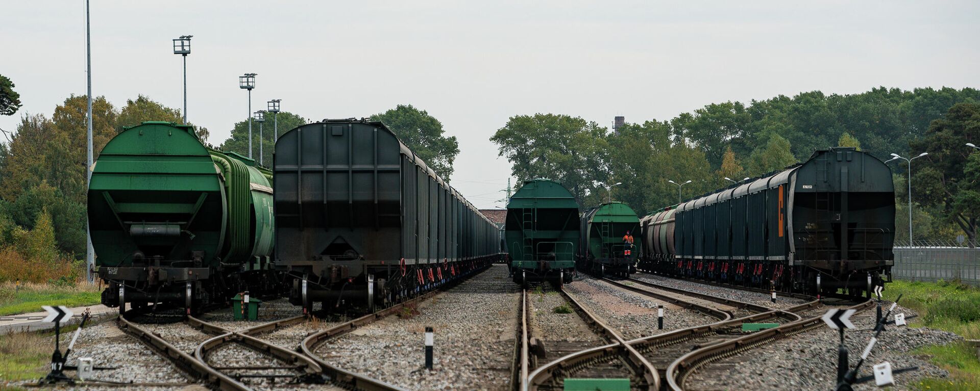 Железнодорожные вагоны с зерном на путях в Лиепае - Sputnik Латвия, 1920, 19.11.2021