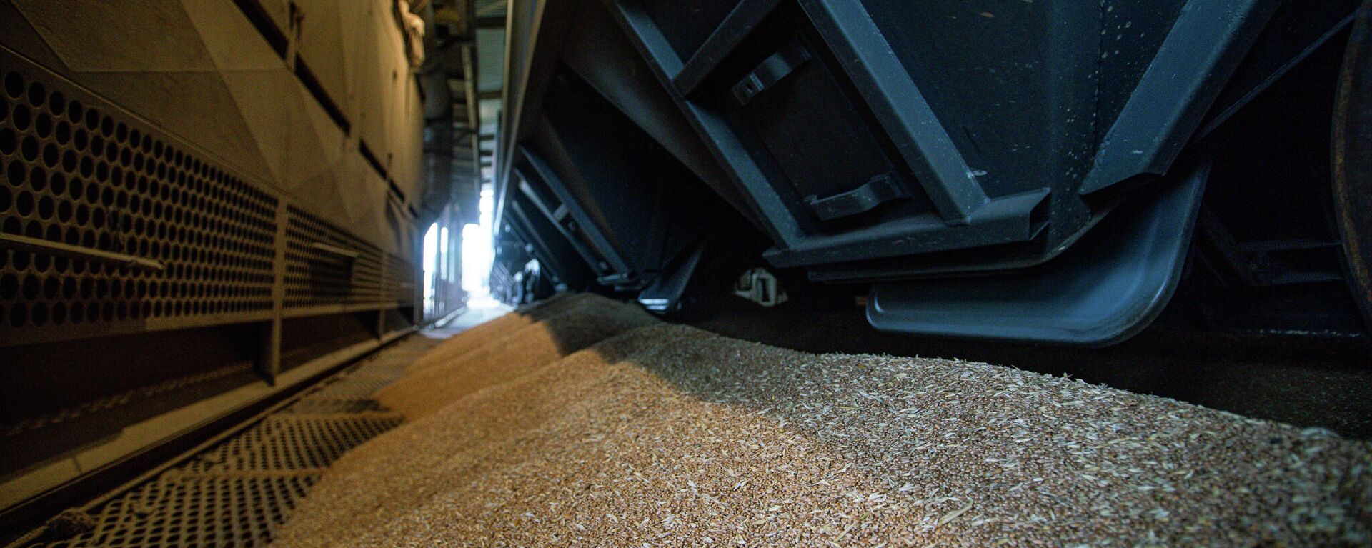 Российское зерно выгружается из вагонов на терминале в порту Лиепаи - Sputnik Латвия, 1920, 21.02.2024