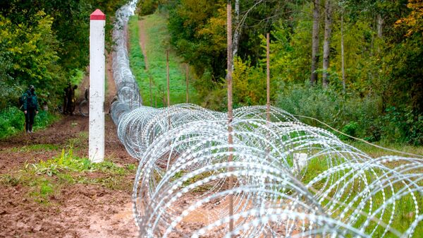 Забор из колючей проволоки на латвийско-белорусской границе - Sputnik Латвия