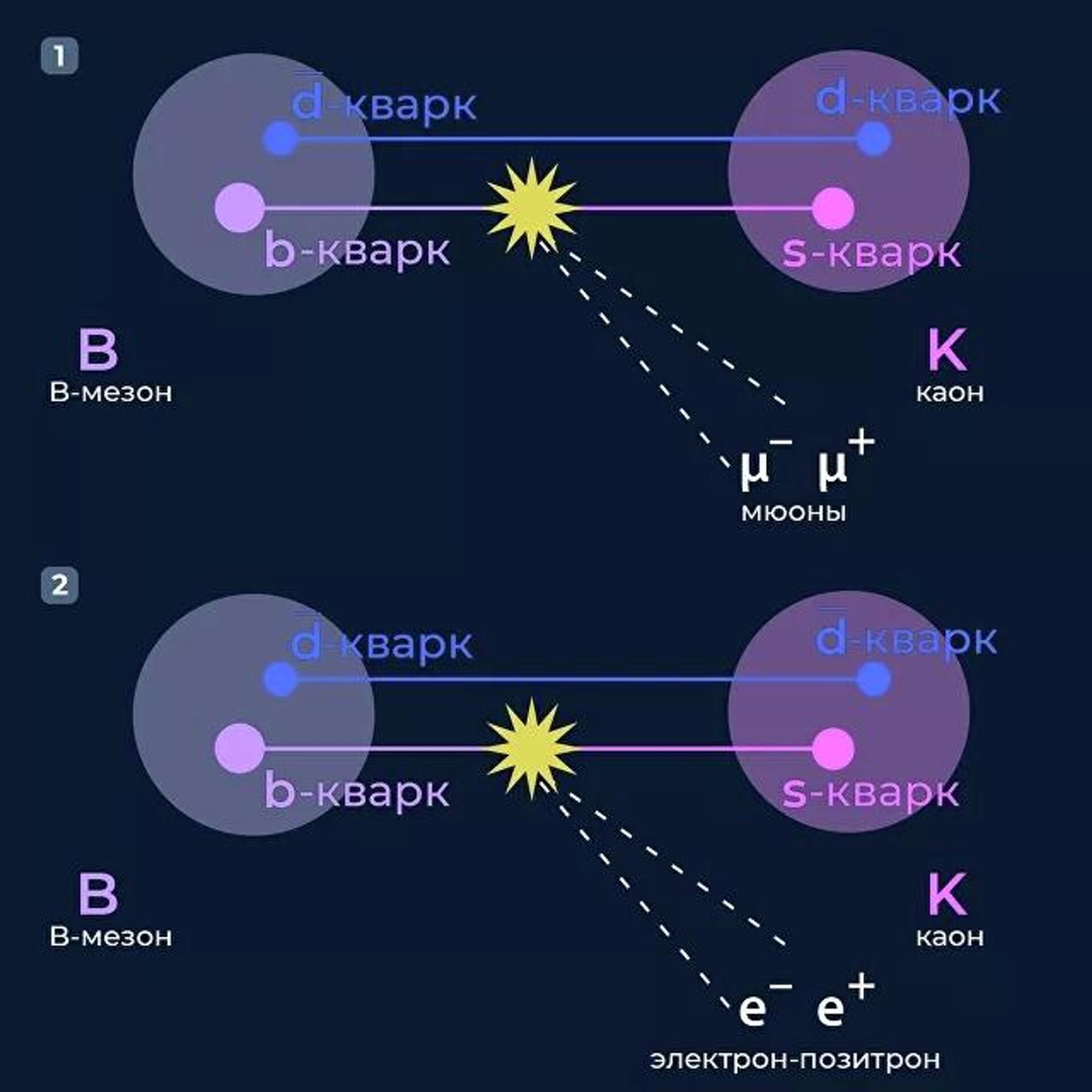 Два варианта распада одной из разновидностей В-мезонов, состоящих из тяжелого b-кварка и легкого d-антикварка с образованием К-мезона (каона), состоящего из s-кварка и d-антикварка. В первом случае при распаде b-кварка образуется пара противоположно заряженных мюонов, во втором — пара электрон — позитрон - Sputnik Latvija, 1920, 31.10.2021