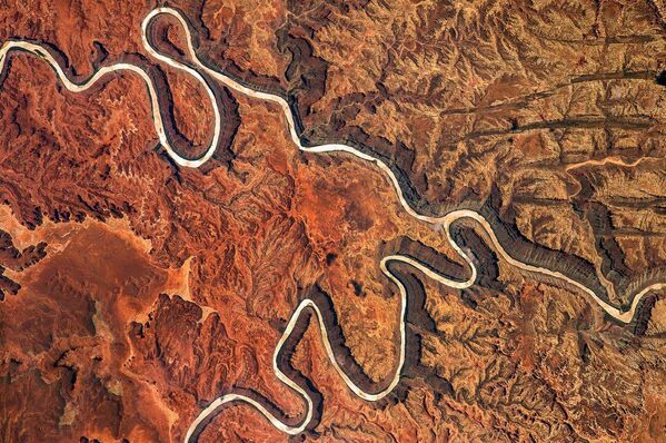 Nacionālais parks &quot;Canyonlands&quot; Jūtas štatā ASV no Starptautiskās kosmiskās stacijas - Sputnik Latvija