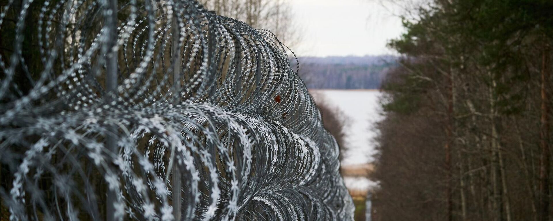 Забор из колючей проволоки на латвийско-белорусской границе  - Sputnik Латвия, 1920, 19.11.2021