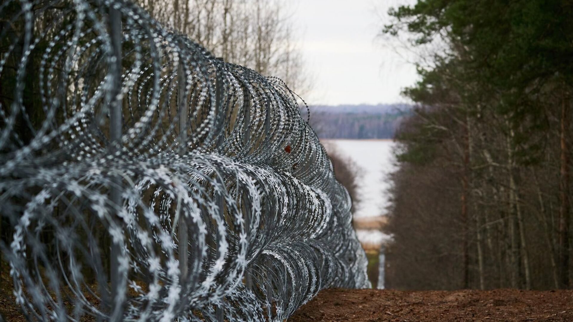 Забор из колючей проволоки на латвийско-белорусской границе  - Sputnik Латвия, 1920, 25.11.2021