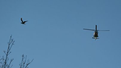 Вертолет погранохраны Латвии на воздушном параде в честь Дня независимости Латвии