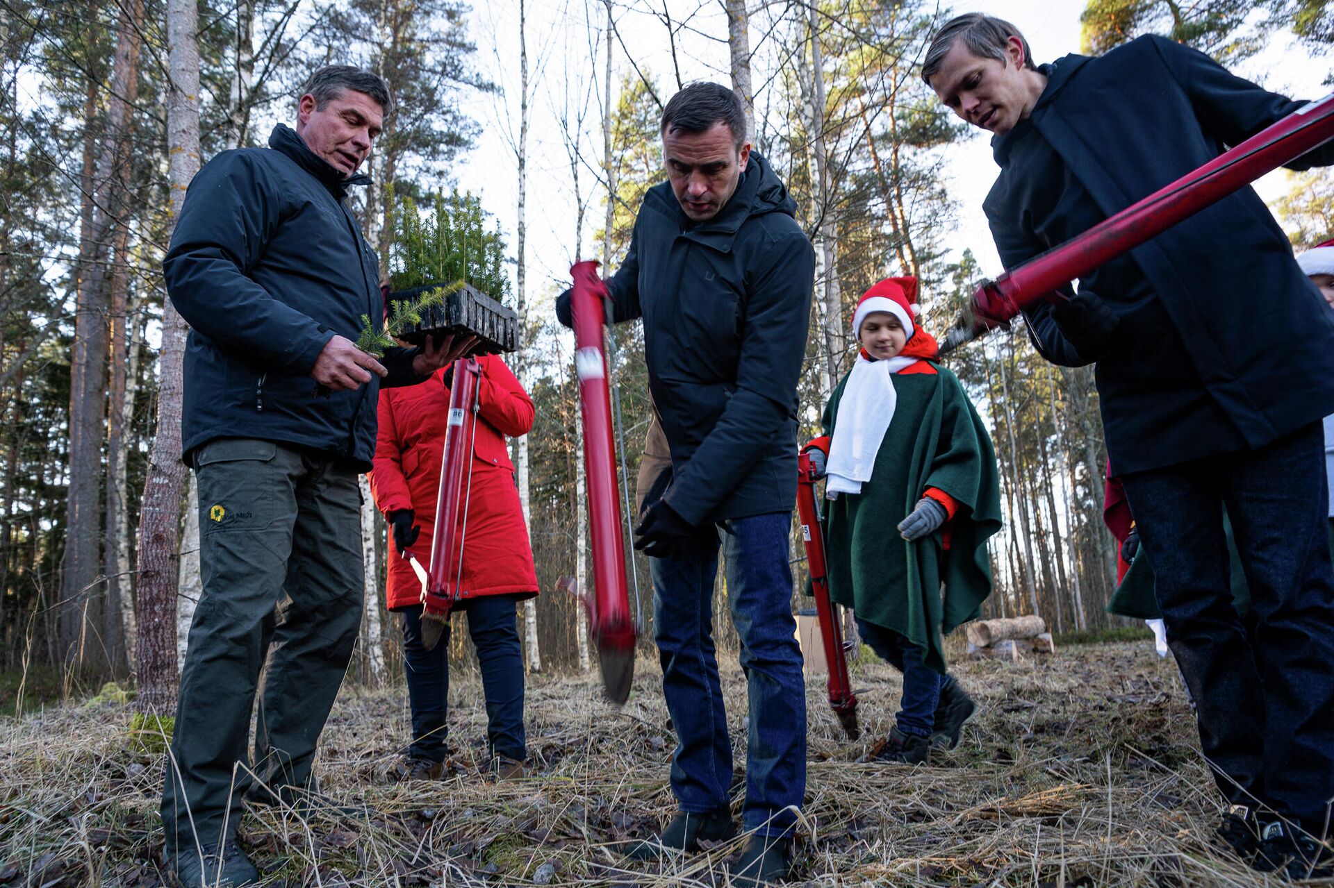 Мэр Риги Мартиньш Стакис вместе с детьми выбрал рождественские елки для Риги - Sputnik Латвия, 1920, 23.11.2021
