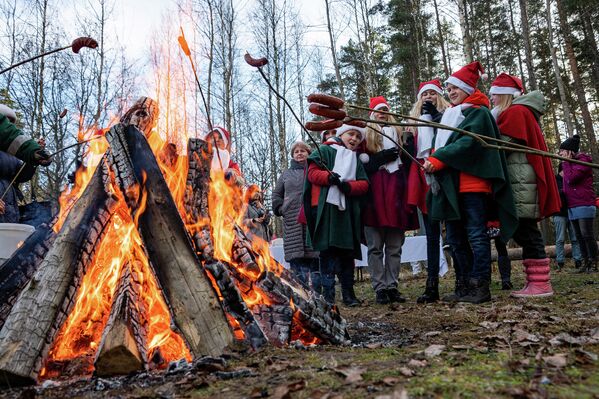 Дети жарят сосиски в Тирельском лесничестве - Sputnik Латвия