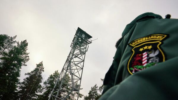 Пограничник рядом с наблюдательной вышкой на латвийско-белорусской границе  - Sputnik Латвия