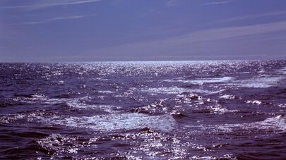 Балтийское море 