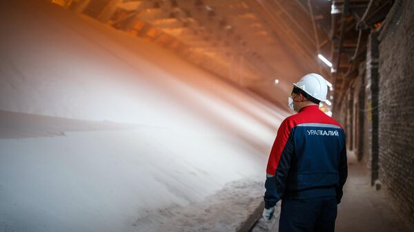 Сильвинитовая обогатительная фабрика в Пермском крае - Sputnik Латвия