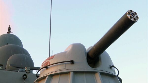Шестиствольная зенитная автоматическая пушка сторожевого корабля Дагестан Каспийской флотилии - Sputnik Латвия