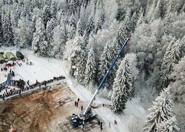 Speciālisti izvēlas Krievijas galveno Ziemassvētku eglīti. Kremļa eglītes augstums šogad ir 25 metri, stobra diametrs 60 centimetri, apakšējo zaru diametrs ap 20 metriem, tās vecums ir 96 gadi. - Sputnik Latvija