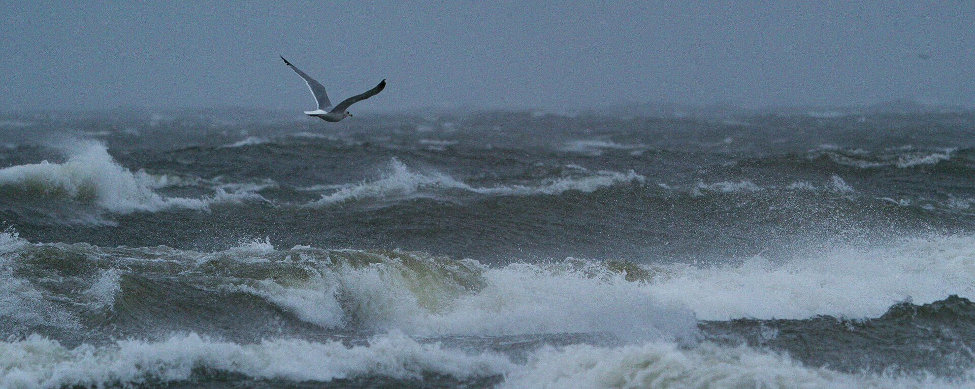 Штормовой ветер на побережье Рижского залива в Риге - Sputnik Латвия, 1920, 17.01.2022