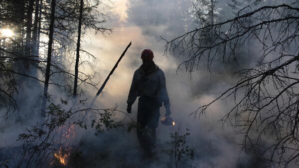 Сотрудник ФБУ Авиалесоохрана тушит лесной пожар в районе Хангаласский улус в Якутии - Sputnik Латвия