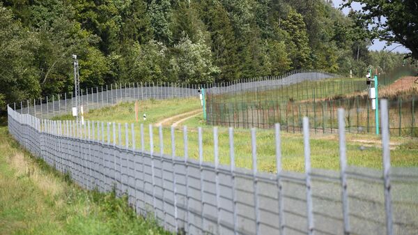 Забор на литовско-белорусской границе - Sputnik Латвия