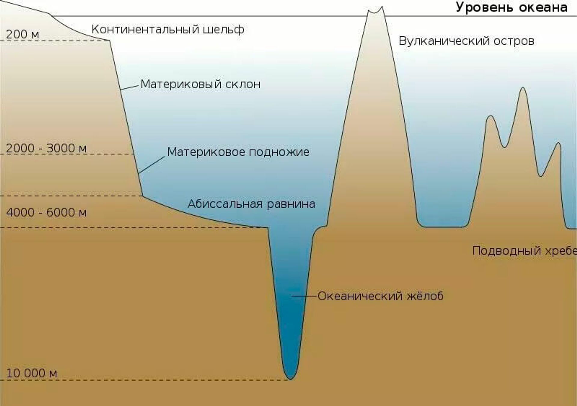 Строение морского дна и положение абиссальных равнин - Sputnik Latvija, 1920, 27.02.2022