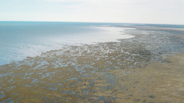 Берег пересыхающего Аральского моря - Sputnik Latvija