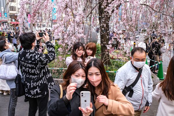 Люди фотографируются на фоне цветущей сакуры в парке Уэно в Токио. - Sputnik Латвия