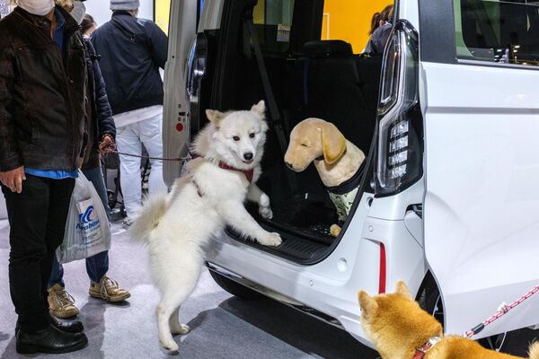 Собаки &quot;тестируют&quot; демонстрируемый на выставке автомобиль: производители утверждают, что он спроектирован для комфортных путешествий с животными. - Sputnik Латвия