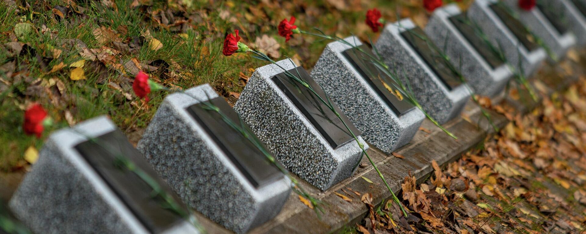 Церемония возложения цветов на Гарнизонном кладбище по случаю 78-й годовщины освобождения Риги от немецко-фашистских захватчиков, 13 октября 2022 года  - Sputnik Латвия, 1920, 01.11.2022