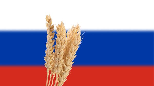 Колосья пшеницы - Sputnik Латвия