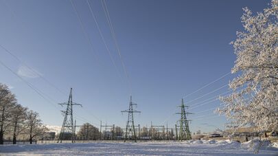 Линии электропередачи в Лиепае после обильного снегопада