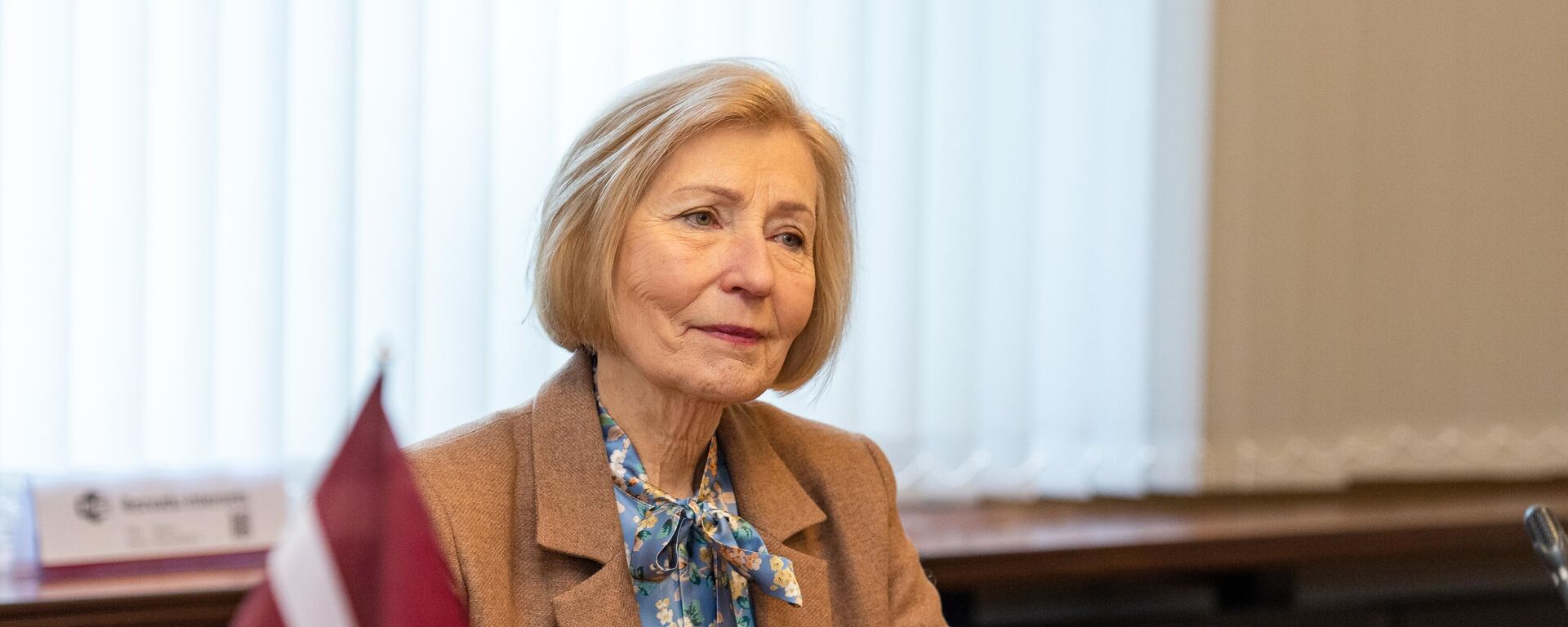 Депутат Сейма Латвии Ирма Калниня - Sputnik Латвия, 1920, 29.10.2025